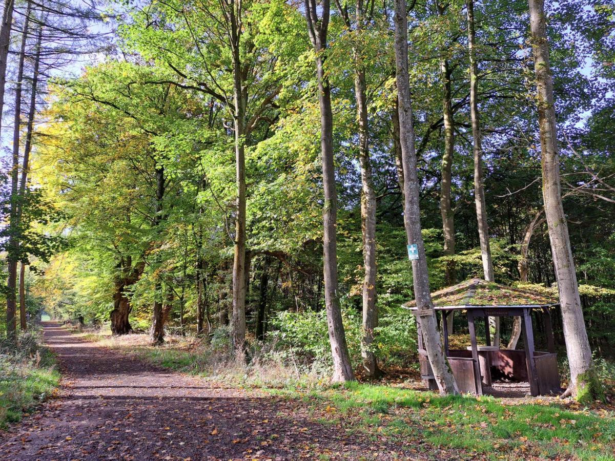 Steewer Landhaus Gemuetliche Ferienwohnung Bis 6 Pers In Ruhiger Ortsrandlage Stebach Zewnętrze zdjęcie