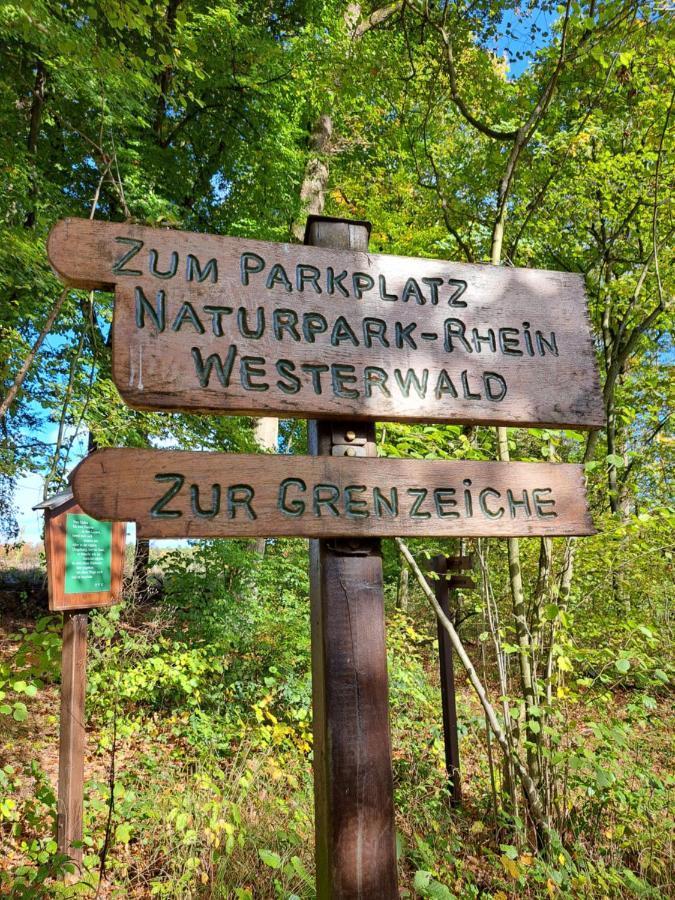 Steewer Landhaus Gemuetliche Ferienwohnung Bis 6 Pers In Ruhiger Ortsrandlage Stebach Zewnętrze zdjęcie