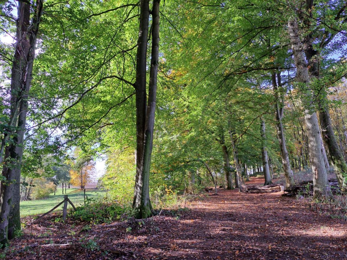 Steewer Landhaus Gemuetliche Ferienwohnung Bis 6 Pers In Ruhiger Ortsrandlage Stebach Zewnętrze zdjęcie